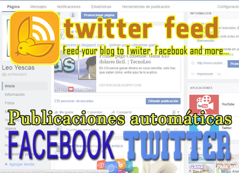 twitter feed