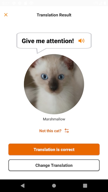 meowtalk,app,gato,traducir