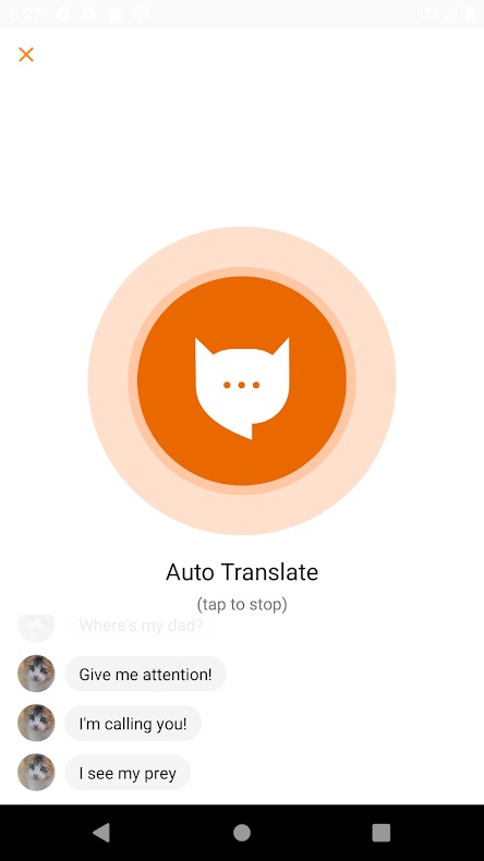 meowtalk,app,gato,traducir